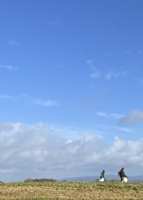 Planting Autumn 2025