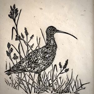 GILLIAN SWAILE, printmaker