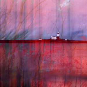 ALISON HALL, creative photography